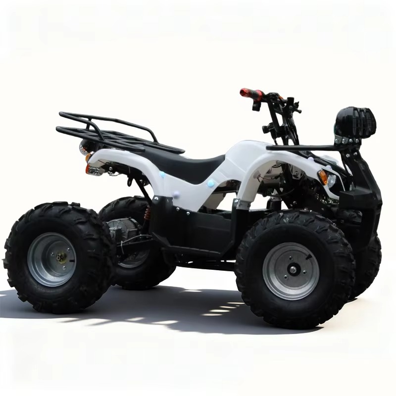Kids Outdoor Electric Quad - Детский электрический квадроцикл 750 Вт, 48