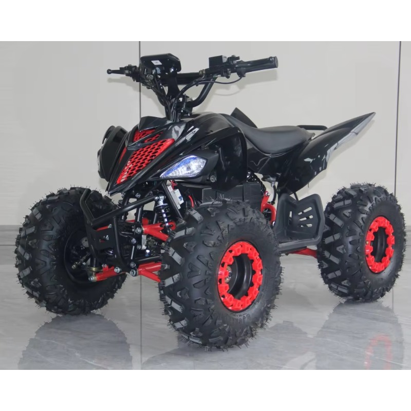 Kids Outdoor Electric Quad - Электрический детский квадроцикл 48В 1000Вт, высокопроизводительный